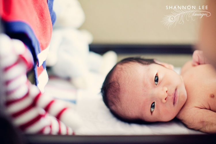 los angeles newborn photographer