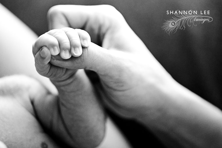 newborn photography