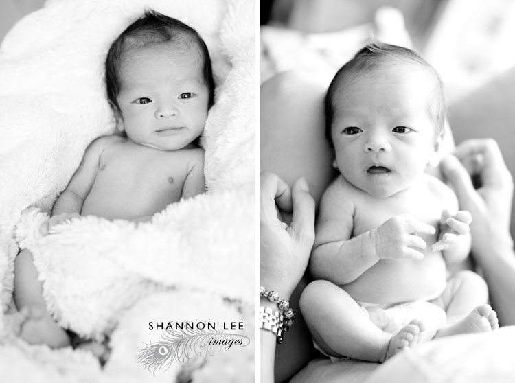 los angeles newborn photographer