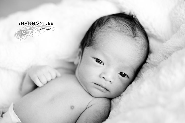 baby photographer