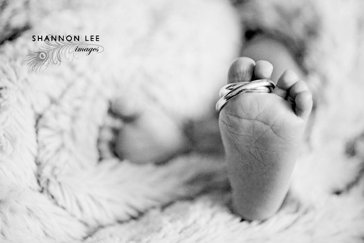 los angeles newborn photographer