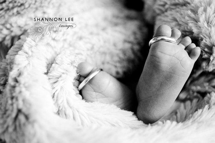 los angeles newborn photographer