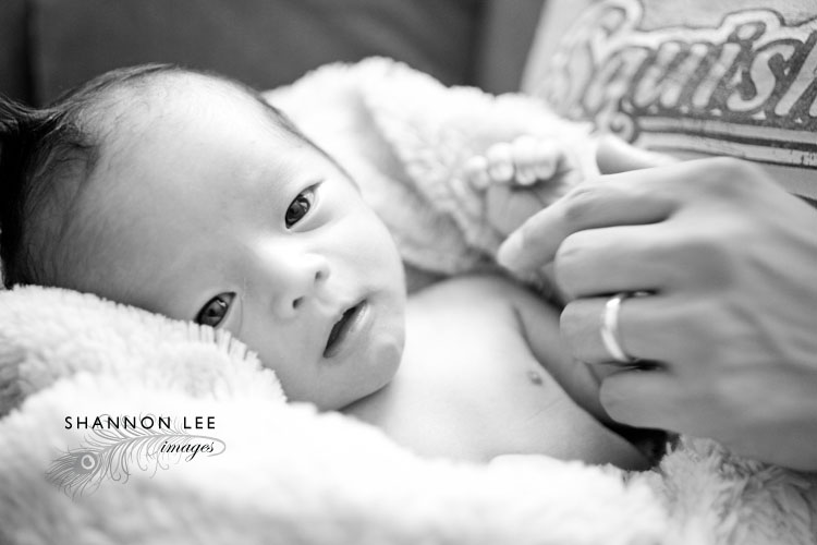baby-zander-117s-l