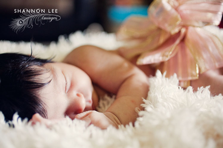 pasadena newborn photography