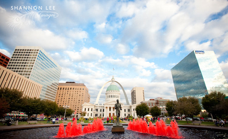 st louis downtown
