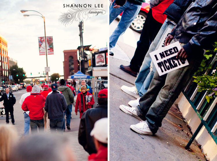 st louis cardinals fan