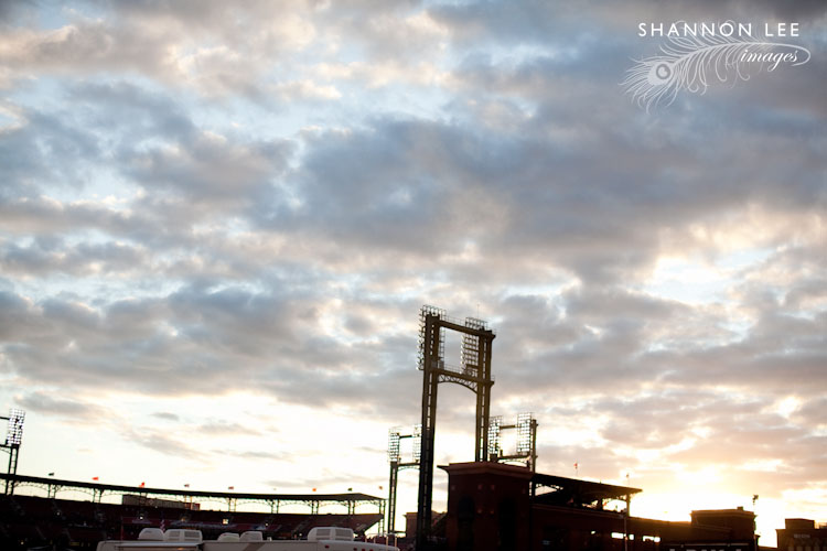 busch stadium