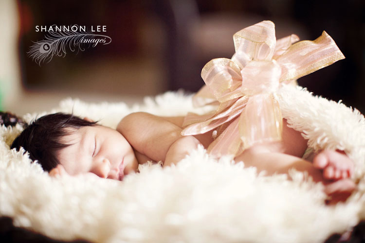 pasadena newborn photographer