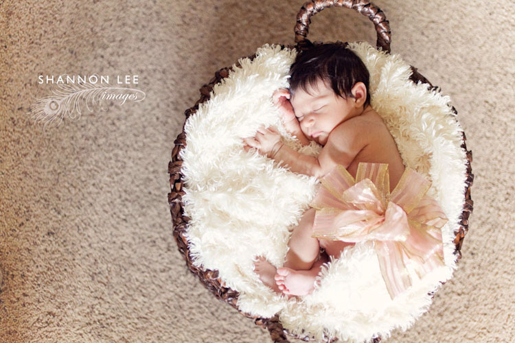 los angeles newborn photographer