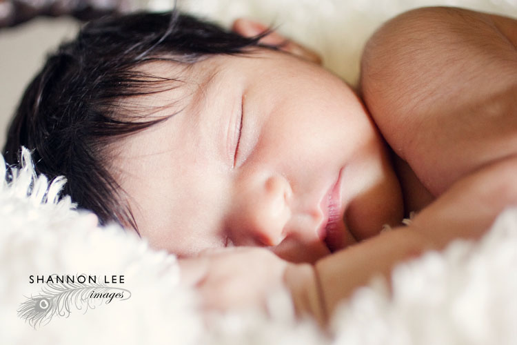 newborn photographer