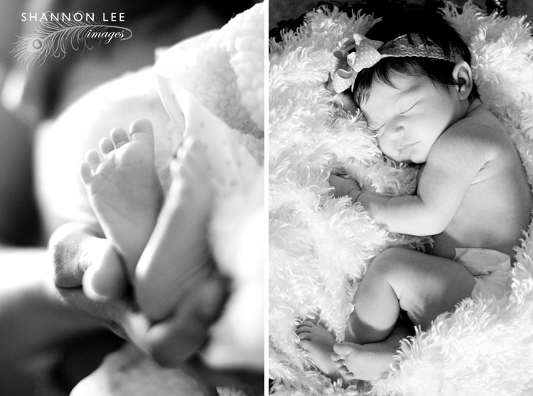 newborn photography