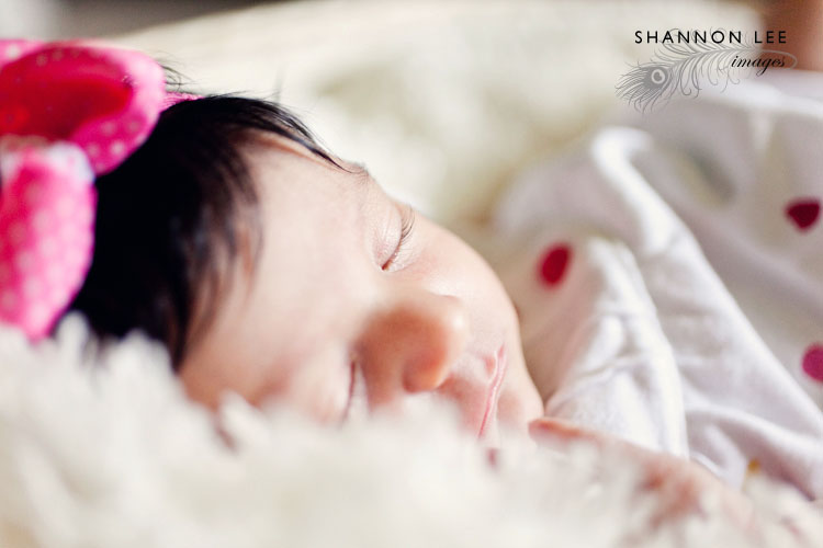 los angeles baby photographer