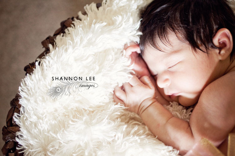 newborn photographer los angeles