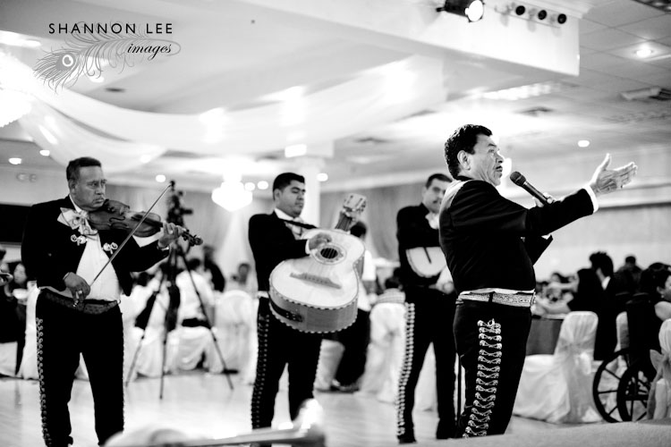 wedding mariachi