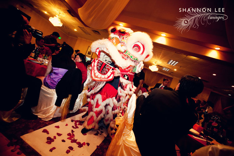 traditional chinese lion dance