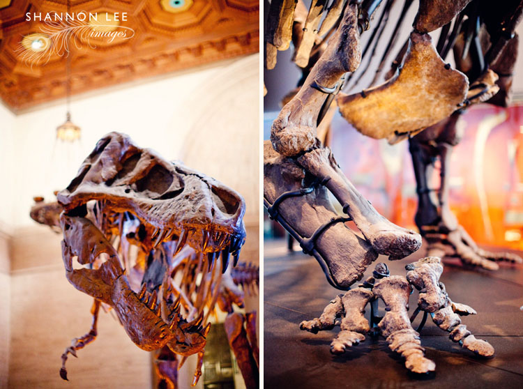 nhm-blog-4009-l