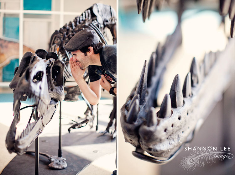 nhm-blog-4011-l
