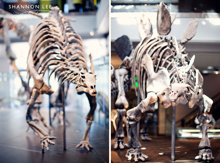 nhm-blog-4012-l