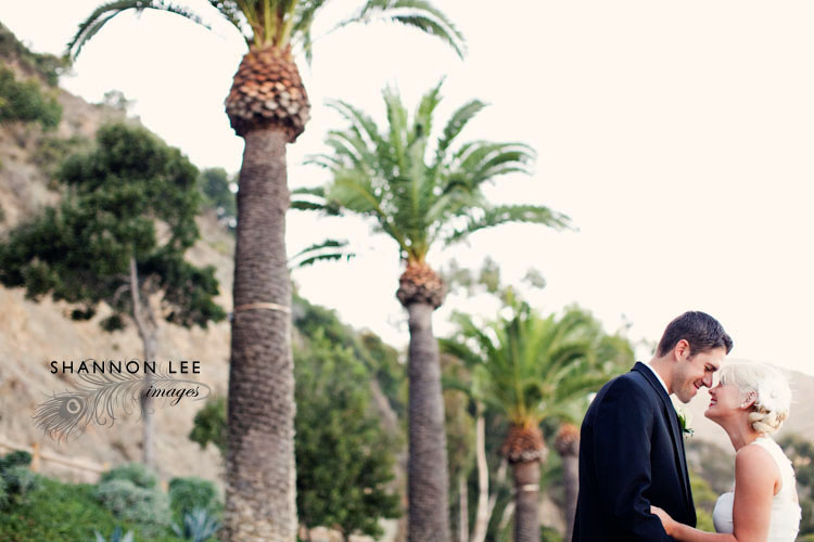 catalina island wedding