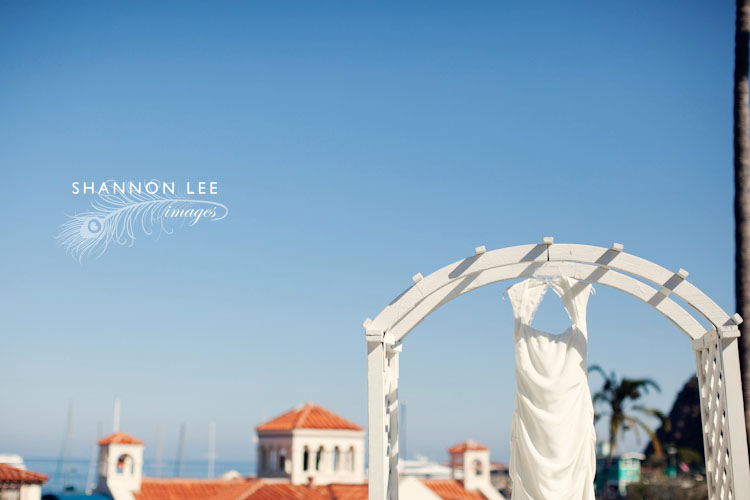 catalina island wedding