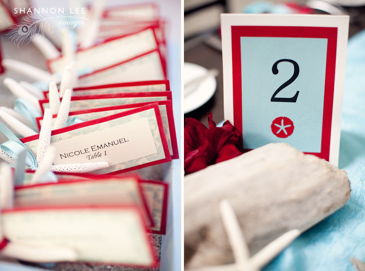 red aqua wedding colors