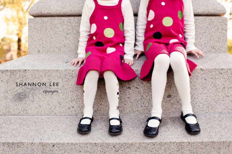 family photographer st louis