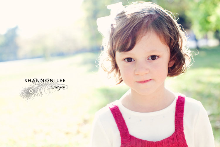 st louis portrait photographer