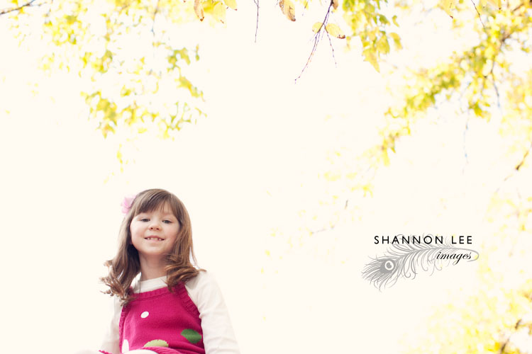 st louis portrait photographer