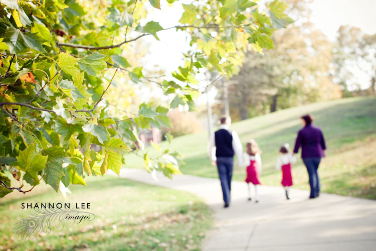 family photographer st louis