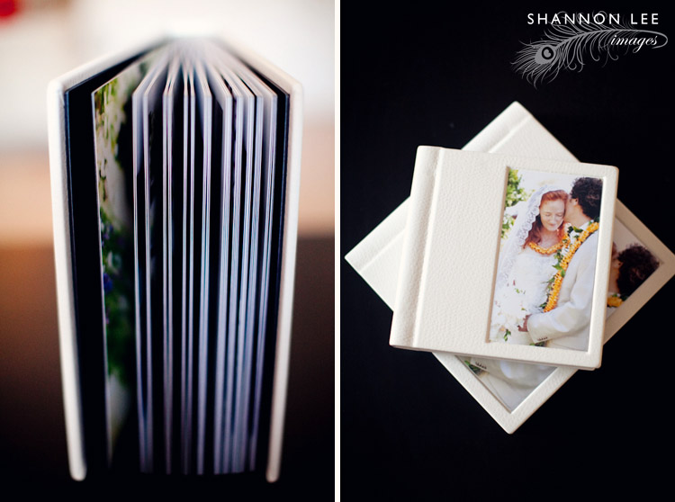 album-blog-406