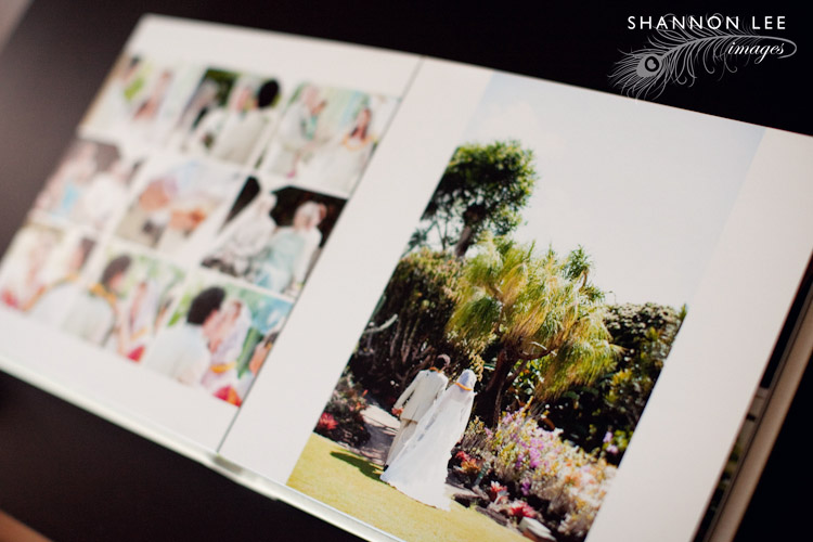 album-blog-410