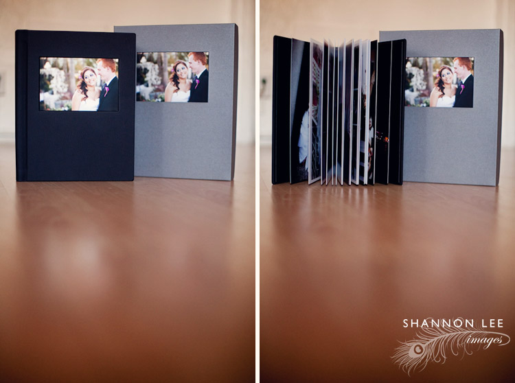 album-blog-411
