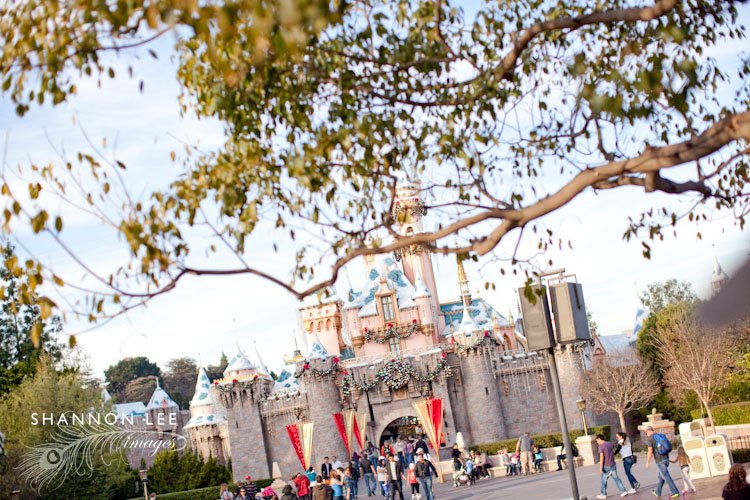 tashina-disney-blog-405