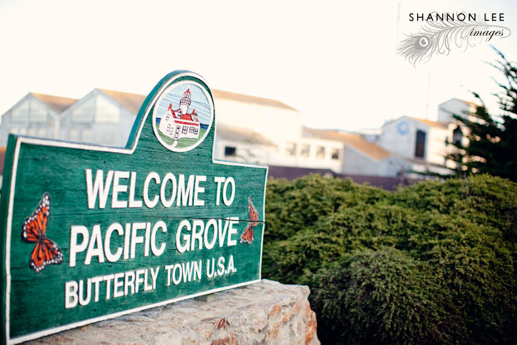 monterey-blog-402