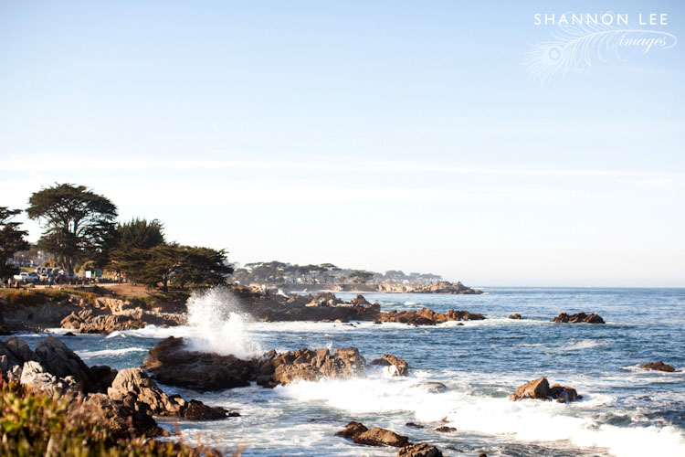monterey-blog-407