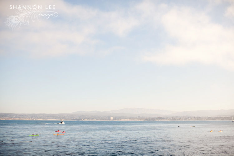 monterey-blog-409