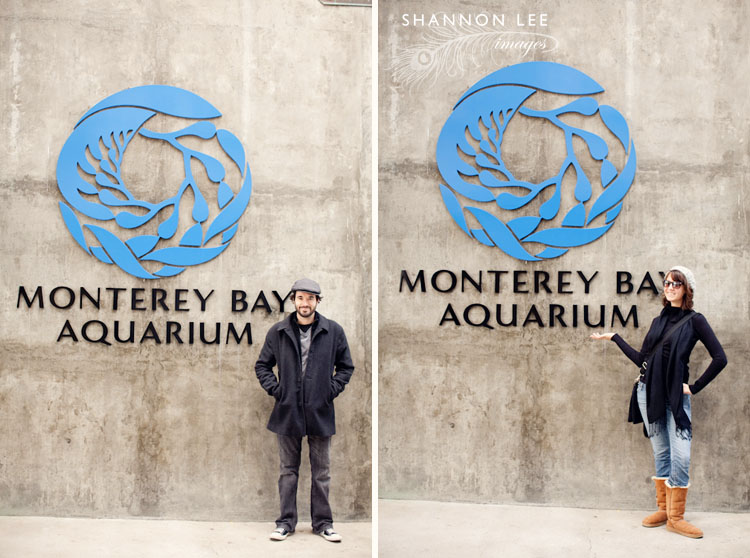 monterey-blog-411