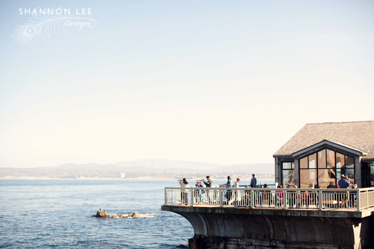 monterey-blog-412