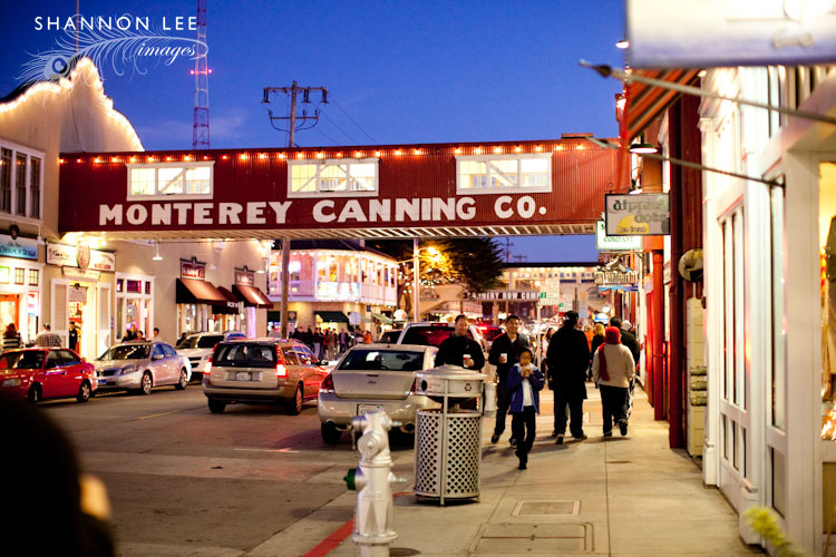monterey-blog-421