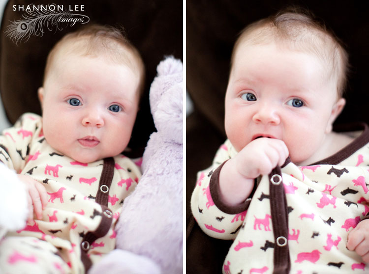 encino baby photography