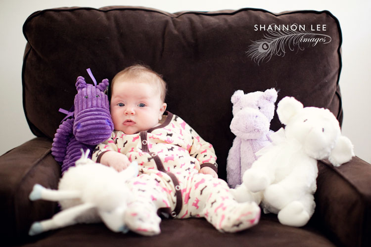 encino portrait photographer