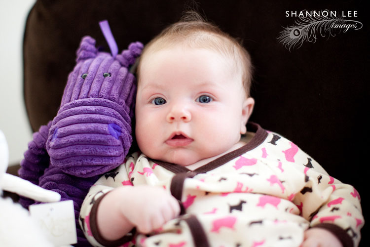 encino portrait photography