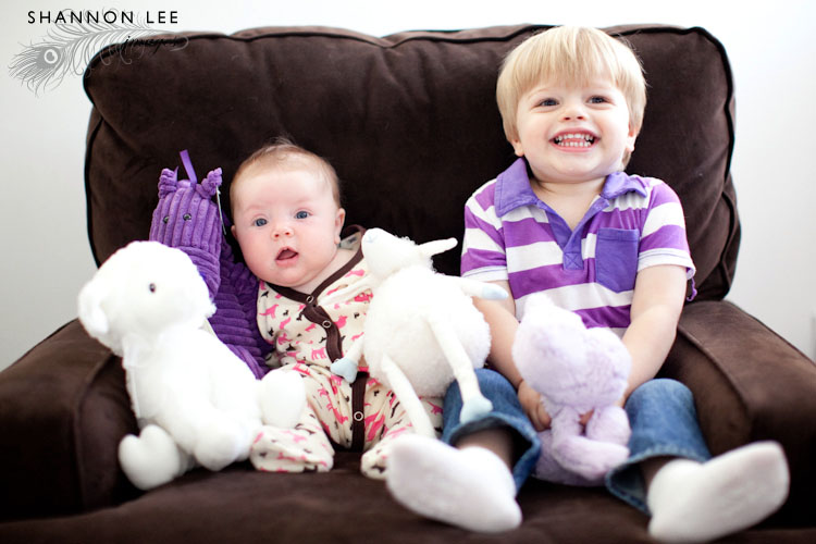 stuffed animal photography