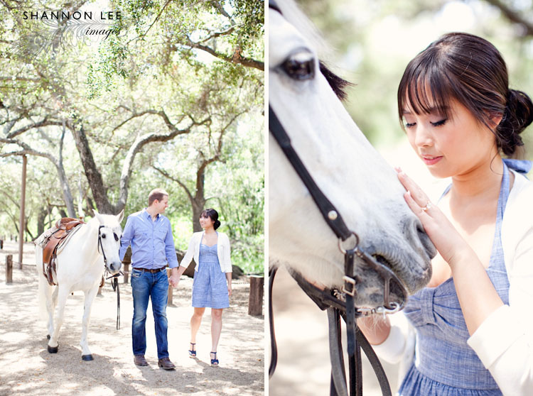 los angeles horse engagement session