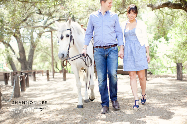 horse-blog-405