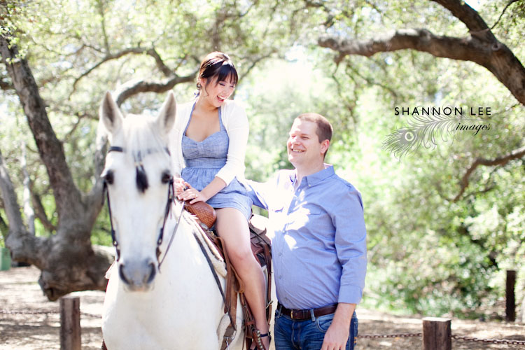 horse-blog-411