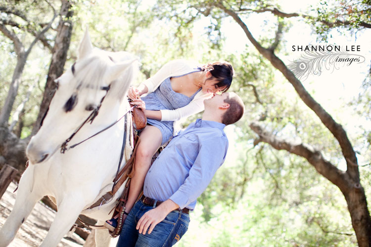 horse-blog-412