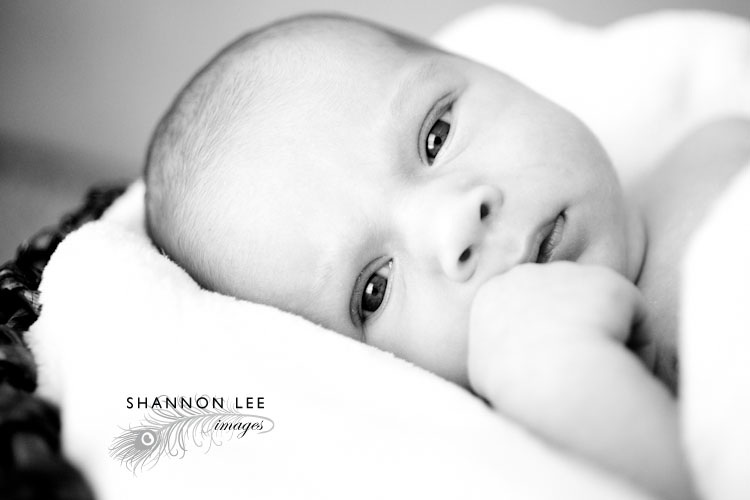 newborn photographer