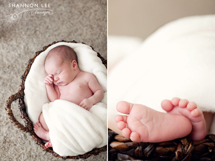 san jose newborn photographer