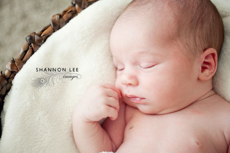 los angeles newborn photographer
